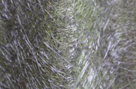 Silk Willoughby fibreglass roof work